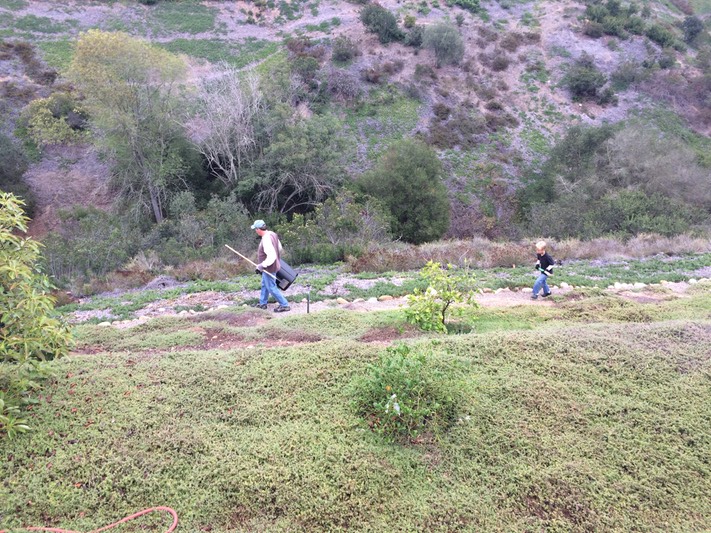 Carter working with Daddy in the canyon