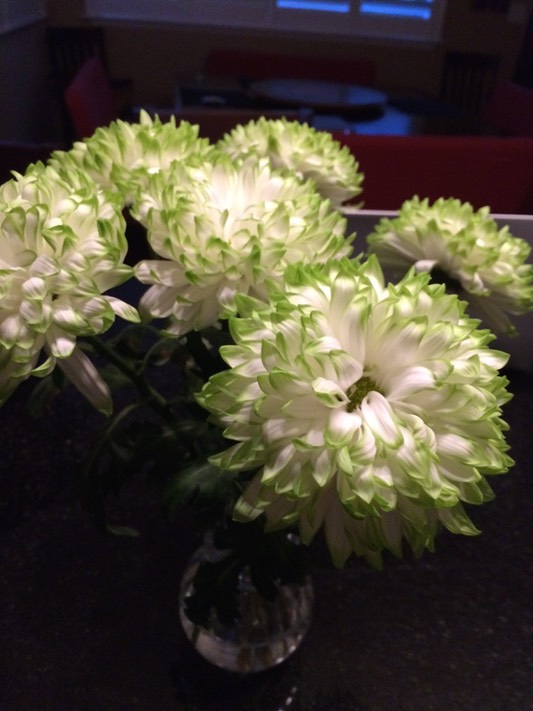 Flowers from Daddy to a very happy mommy