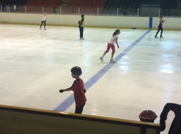 Doing some ice skating
