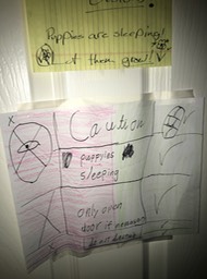 Stella and C provided signs on the door of the "puppy room"
