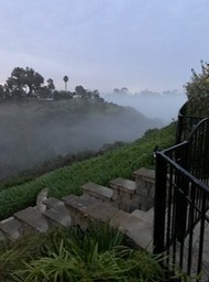 Fog in the canyon - a favorite around here