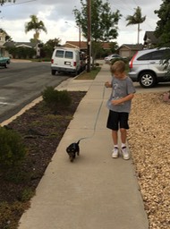 C doing a little walking with Midnight