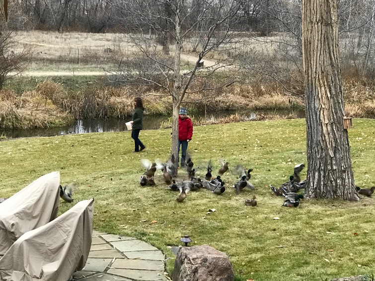 Aunt Ang sharing the geese