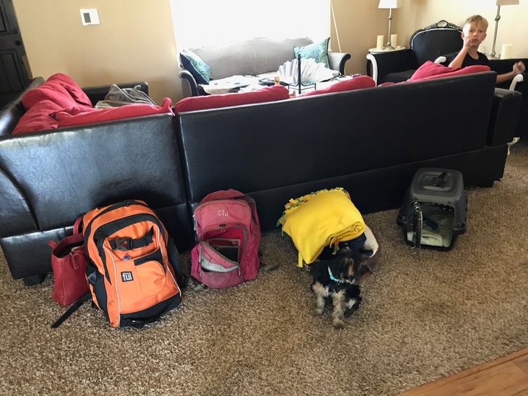 Traveling with a kid and puppy is anything but "light"