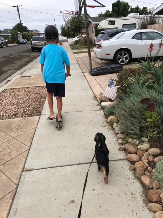 C and Midnight out for a walk