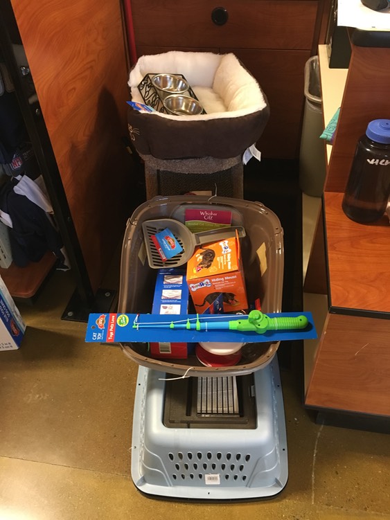 C wanted to make sure we had EVERYTHING the cat would need