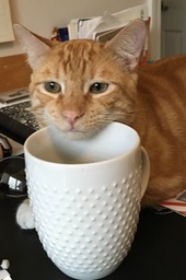 G's mug on my mug