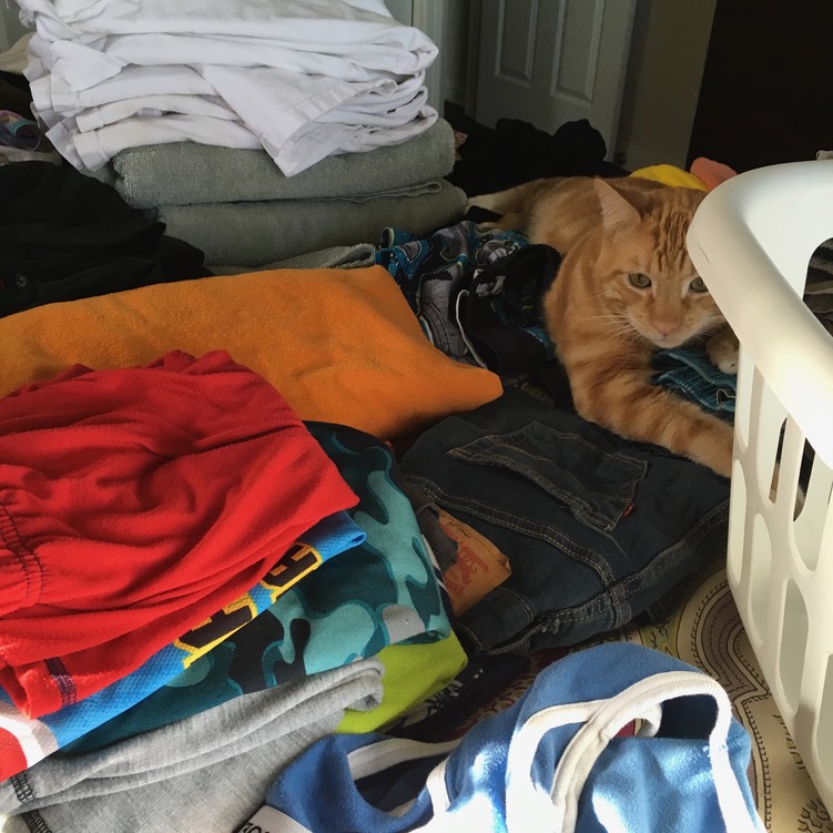 George the Laundry Lounger